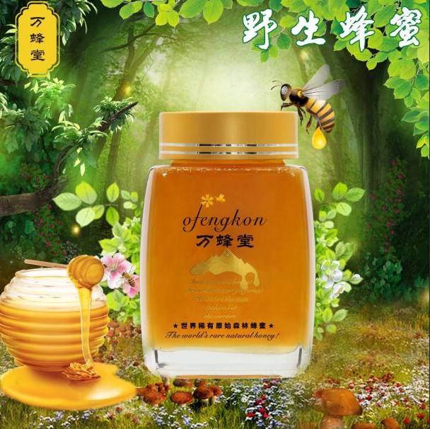 蜂蜜广告文案(蜂蜜广告文案该怎么说)