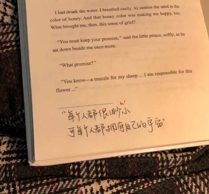 不爽的文案(看人不爽的文案)