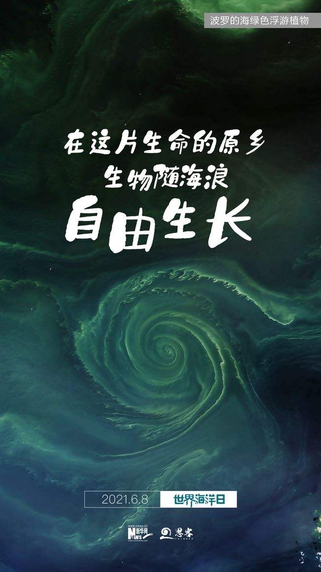 保护海洋的文案(保护海洋生物的文案)