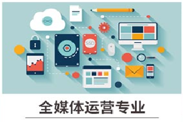 网络全媒体(全媒体与网络媒体)