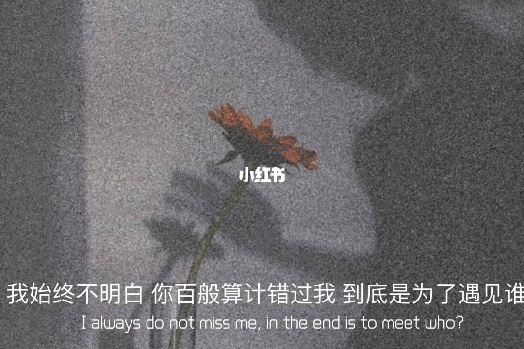 容易上热门的伤感文案(容易上热门的伤感文案20字)