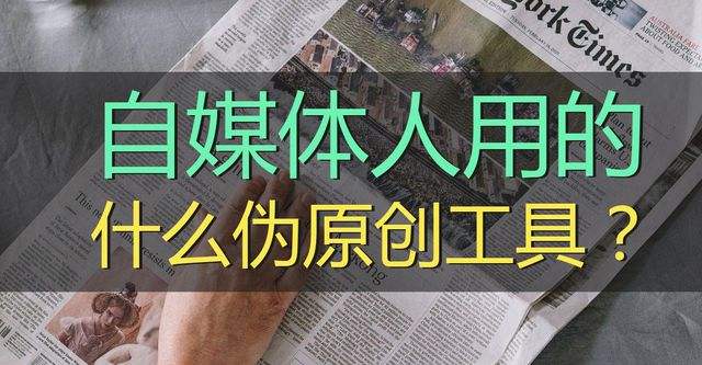 自媒体适合新手做的平台(目前最适合新手的自媒体平台)