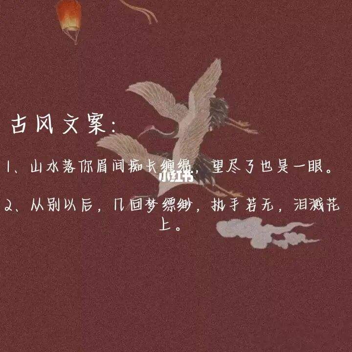 除夕古风文案(除夕古风文案短句)