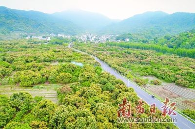 从化农村电商(从化农村电商案例)