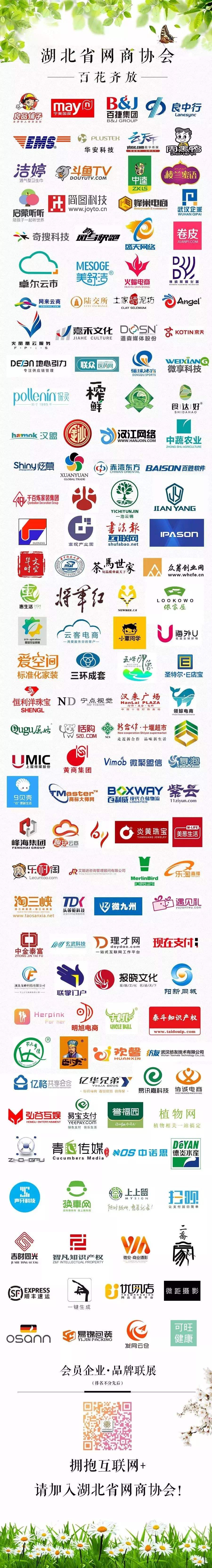 武汉电商排名(武汉电商排名前十强)