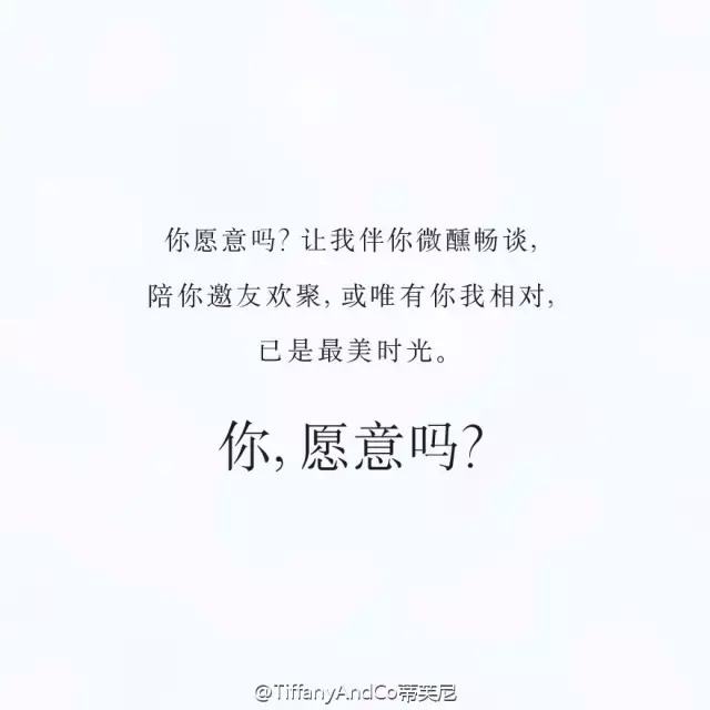 qq个签文案(个签文案励志)