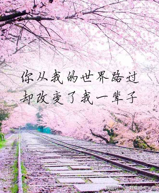擦肩而过的文案(擦肩而过的文案句子)