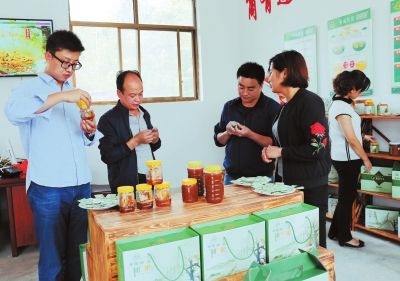 甘肃陇南电商(甘肃陇南电商试点示范)