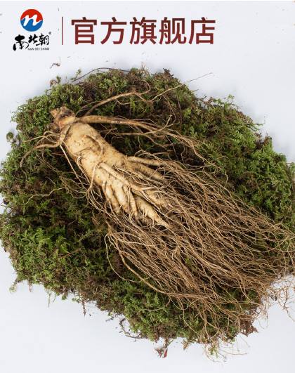 长白山人参文案(长白山人参文案怎么写)