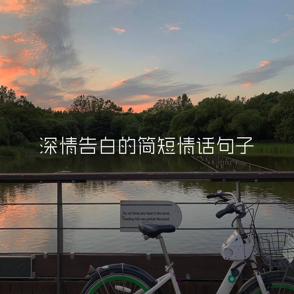 love的文案(love story 文案)