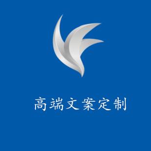 代写推广文案(代写推广文案企业的盈利模式)