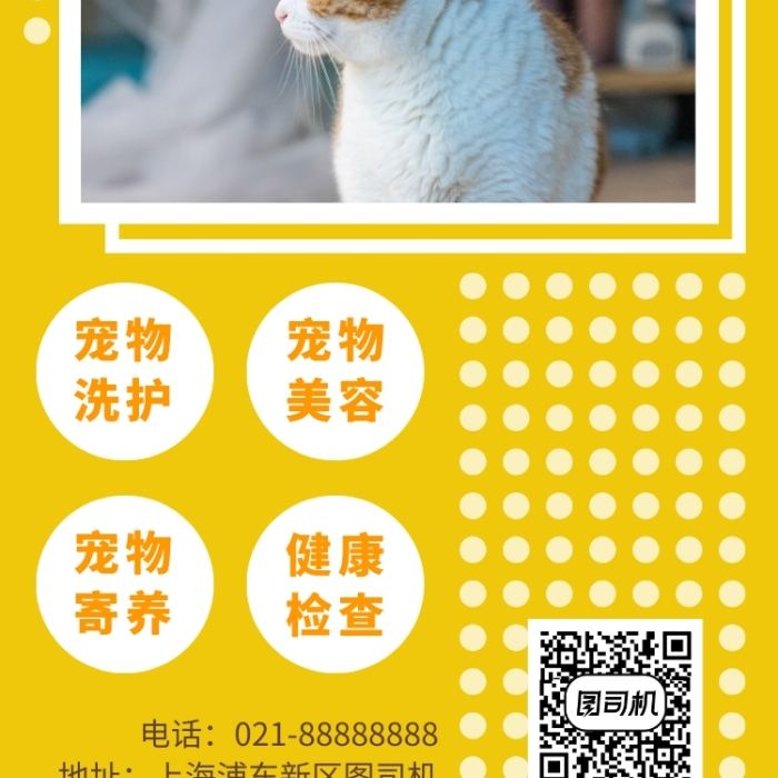 宠物店朋友圈文案(宠物店朋友圈文案怎么写)