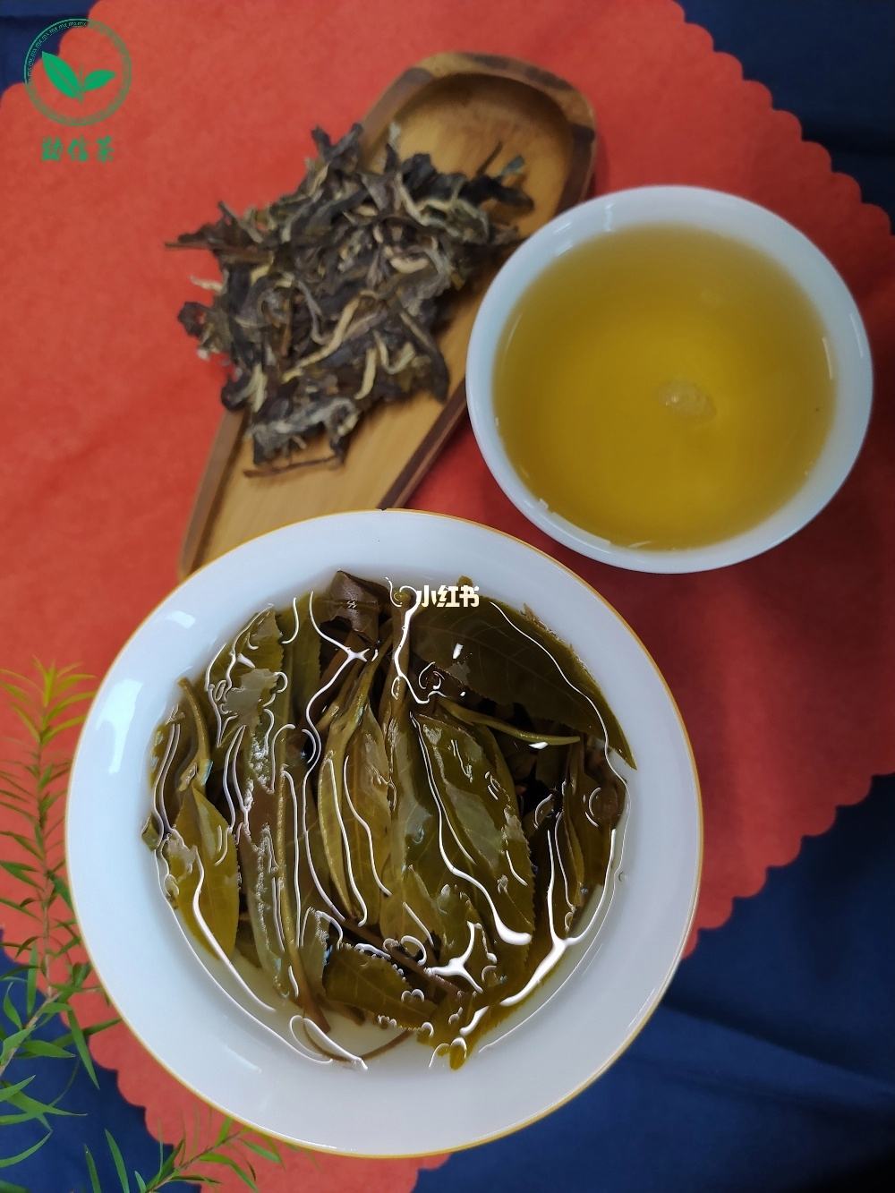 茶农朋友圈文案(茶楼发朋友圈广告语)