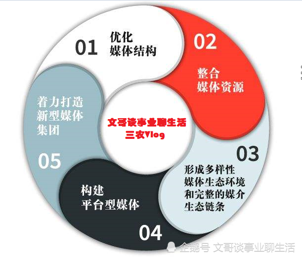 自媒体领域的选择(自媒体领域的选择与发展)