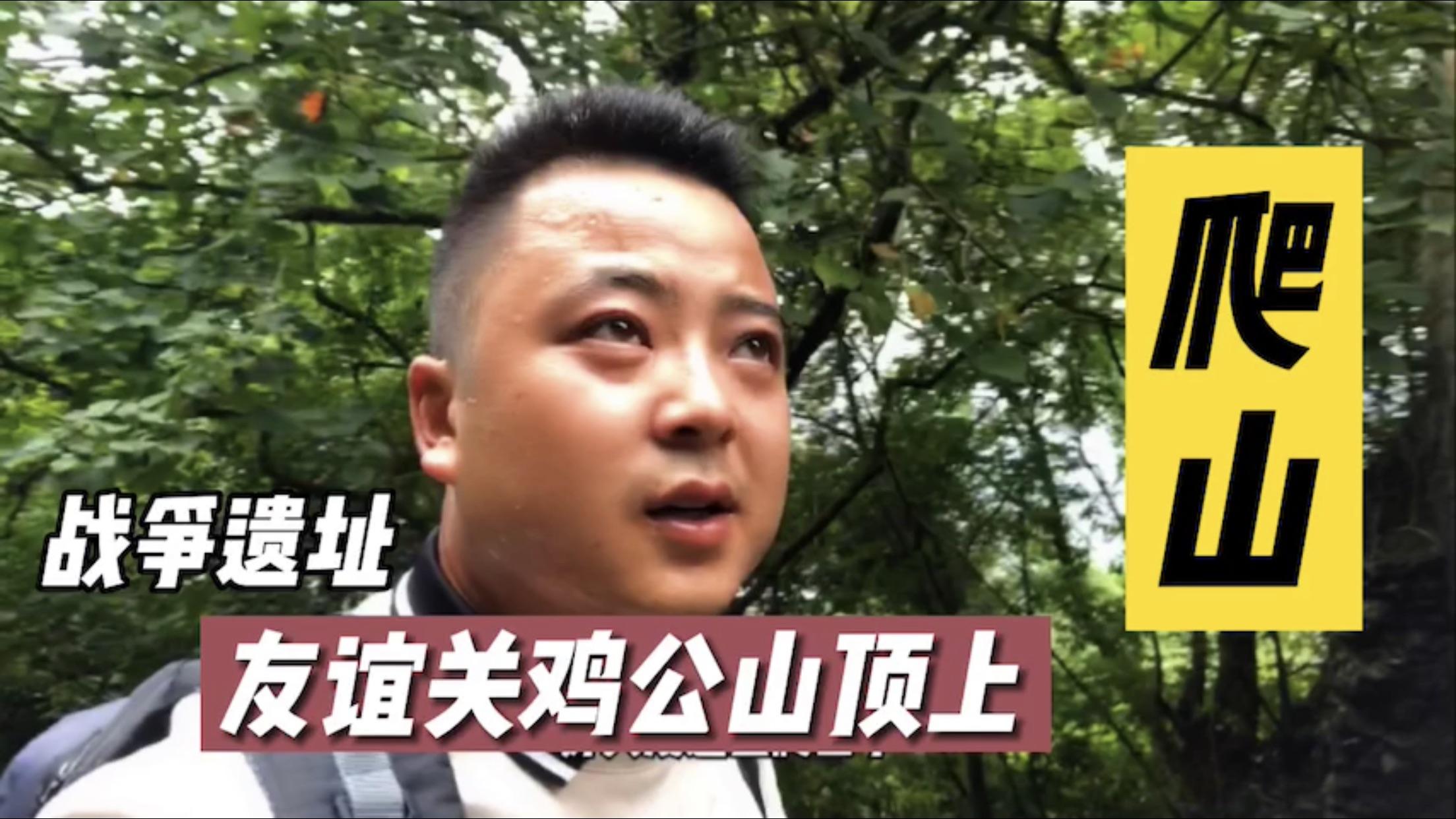 自驾游自媒体收入(自驾自媒体收入排行)