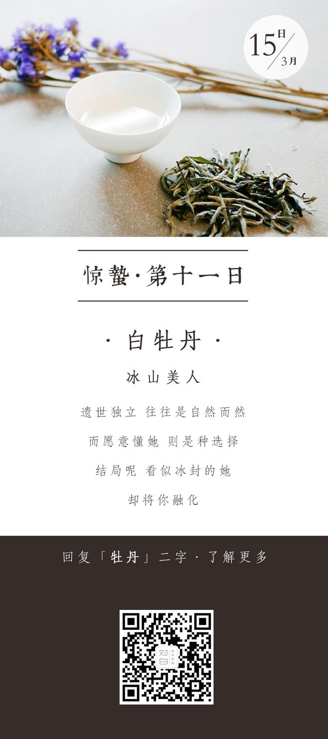 关于茶的文案(关于茶的文案发朋友圈)