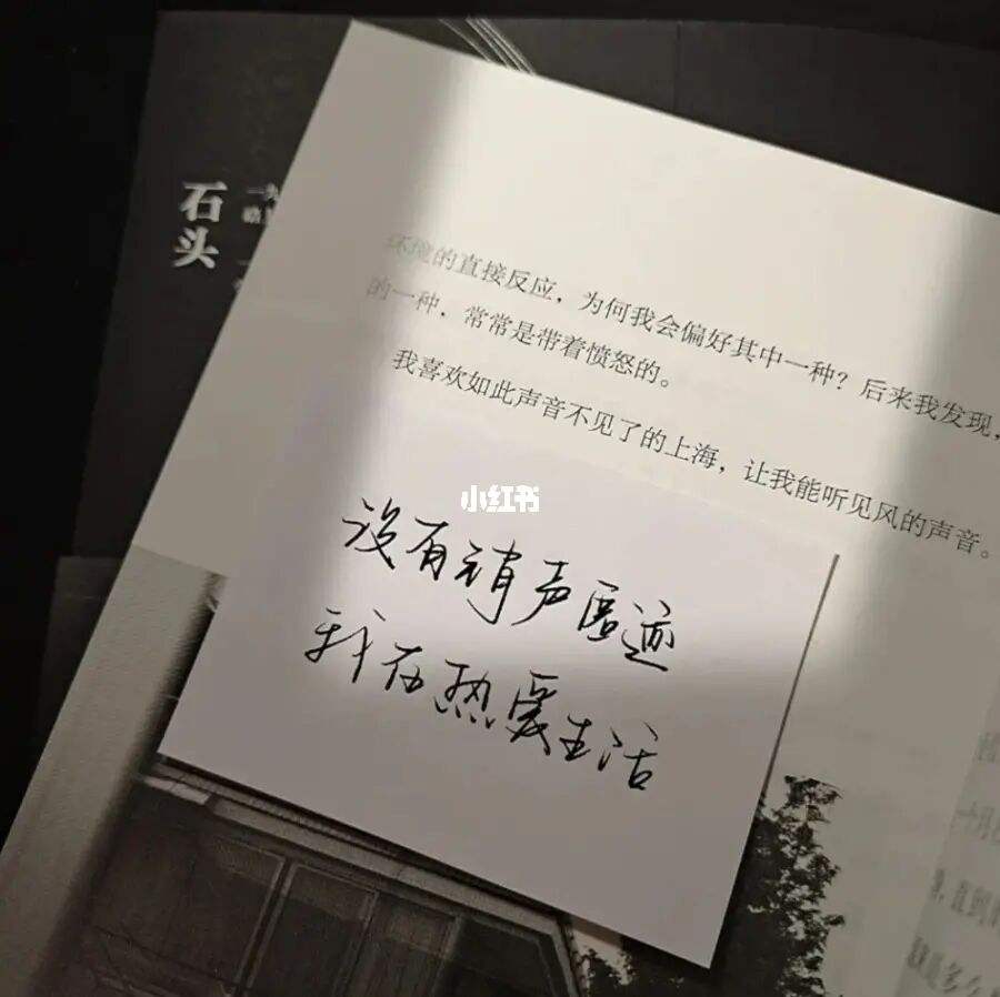 爱情文案视频(爱情文案视频无水印)