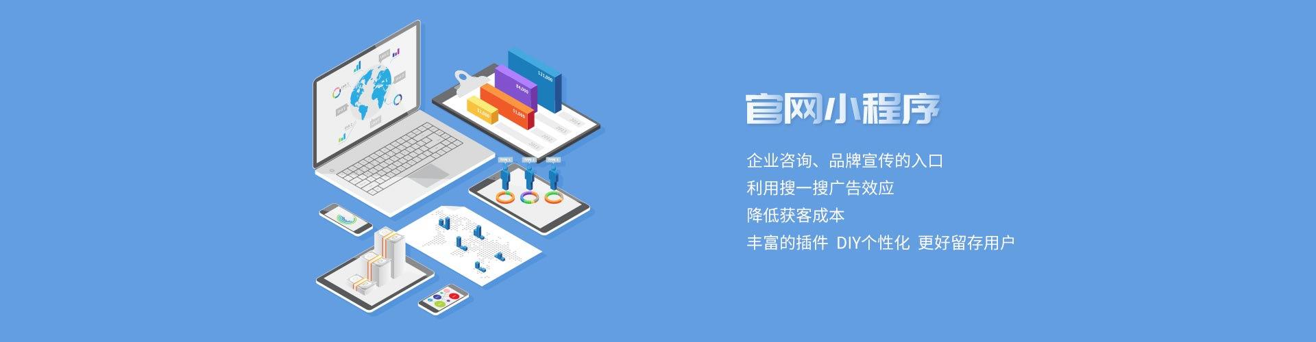 电商定制(电商定制版)