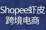 注册跨境电商(跨境电商公司注册)