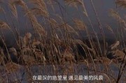 春天励志文案(春天励志文案简短)