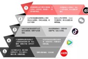 分享电商分析(分享电商分析报告)