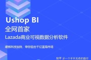 bi电商(比电商还赚钱的生意)