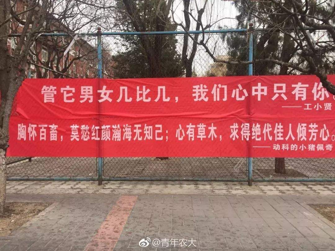 表白女神的文案(对女生表白的文案)