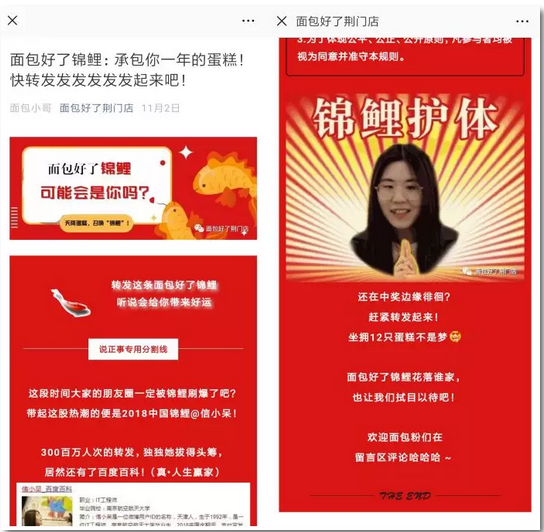 锦鲤营销模式(锦鲤营销是什么意思)