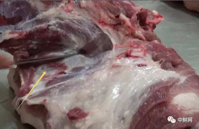 卖猪肉的技巧与营销(卖猪肉的技巧与营销1002无标题)