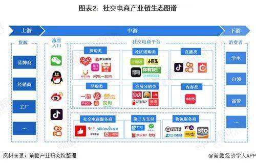 社交电商的由来(社交电商的发展与运用)