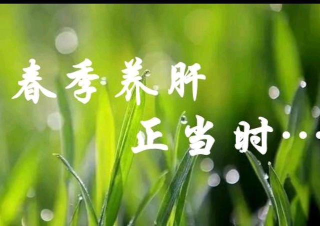 春季养肝宣传文案(春季养肝宣传文案图片)