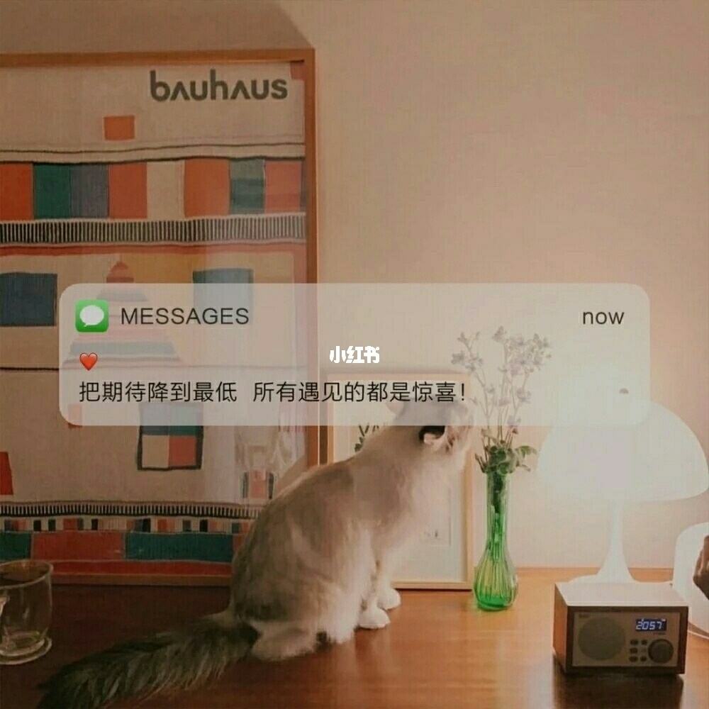 办公朋友圈文案(办公室朋友圈文案)