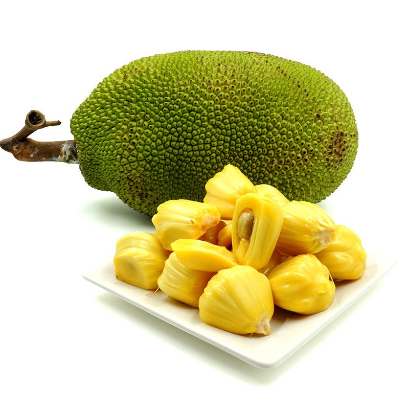 菠萝蜜文案(菠萝蜜文案句子)