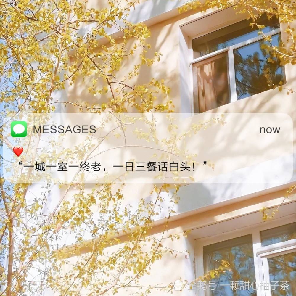 超话发帖文案(张真源超话发帖文案)