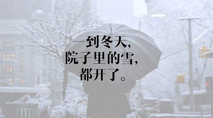 冬的文案(一起走过春夏秋冬的文案)