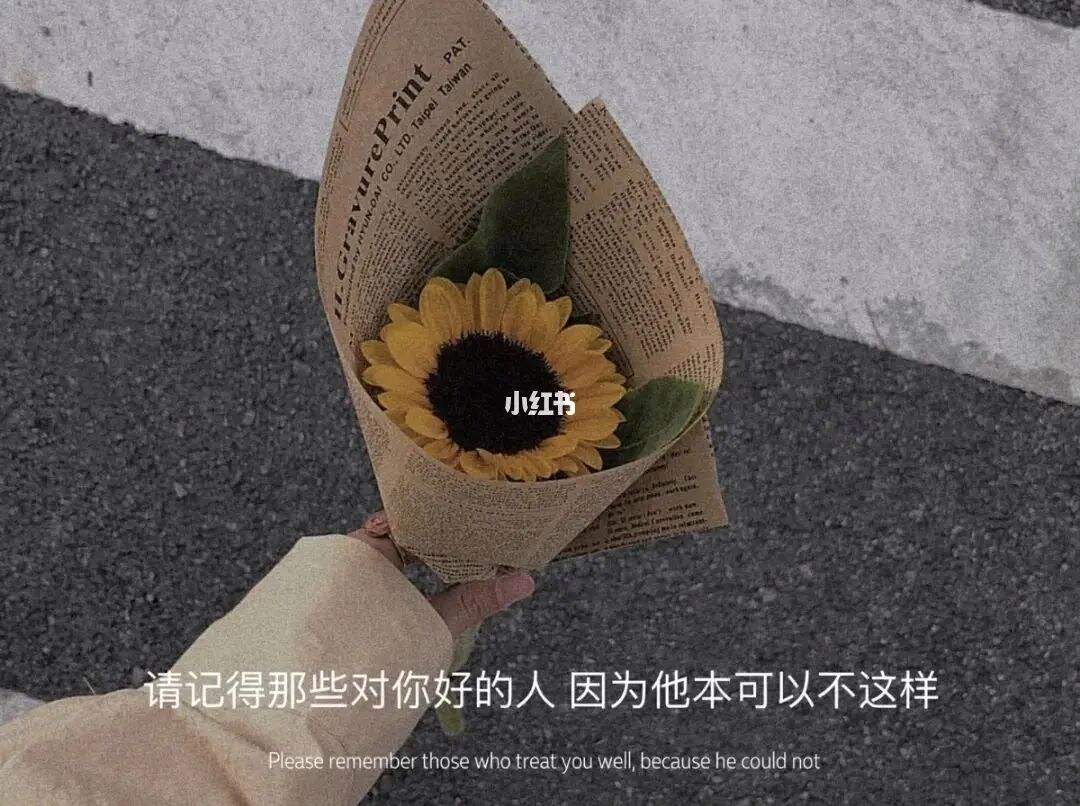 长大的文案(孩子长大的文案)