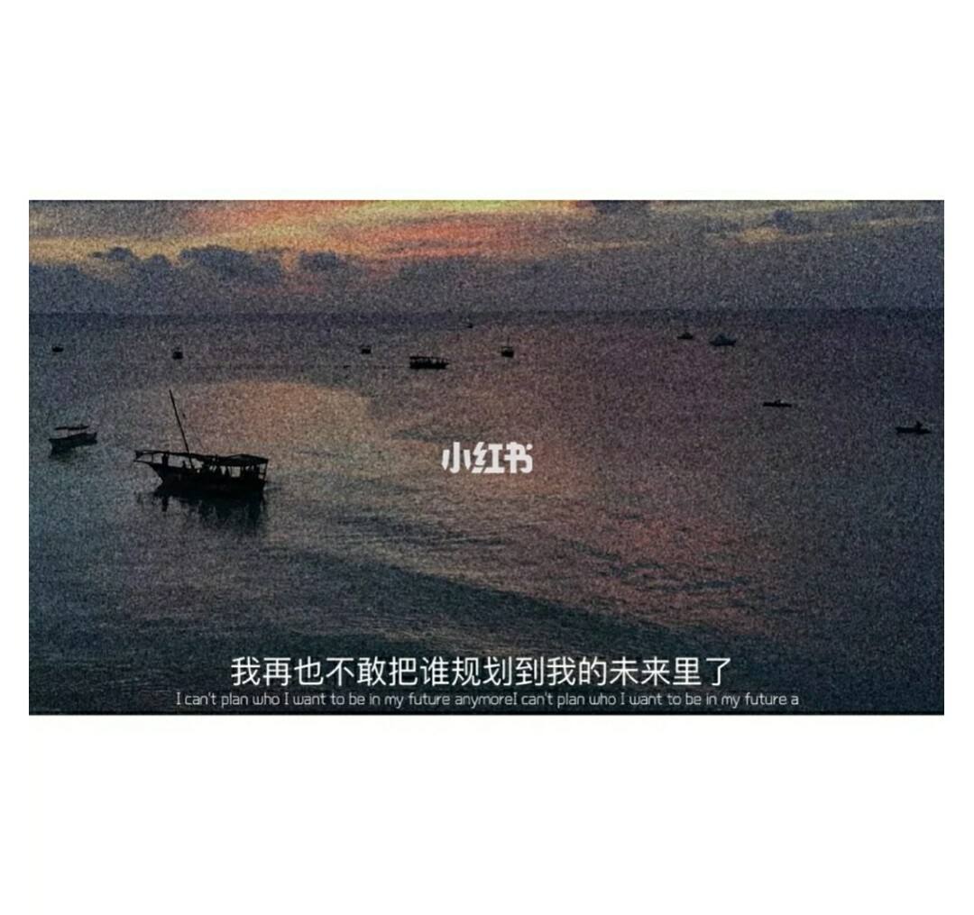 感人的文案(励志感人的文案)