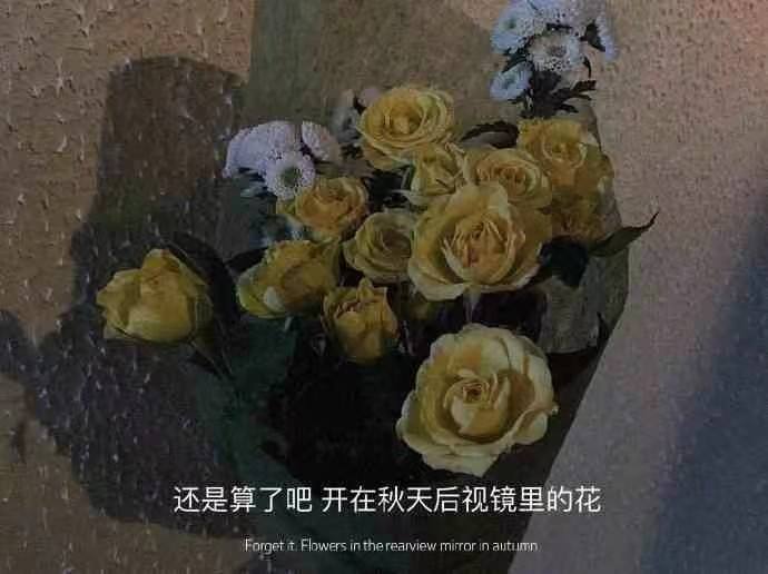 打扰了的文案(请勿打扰的文案)