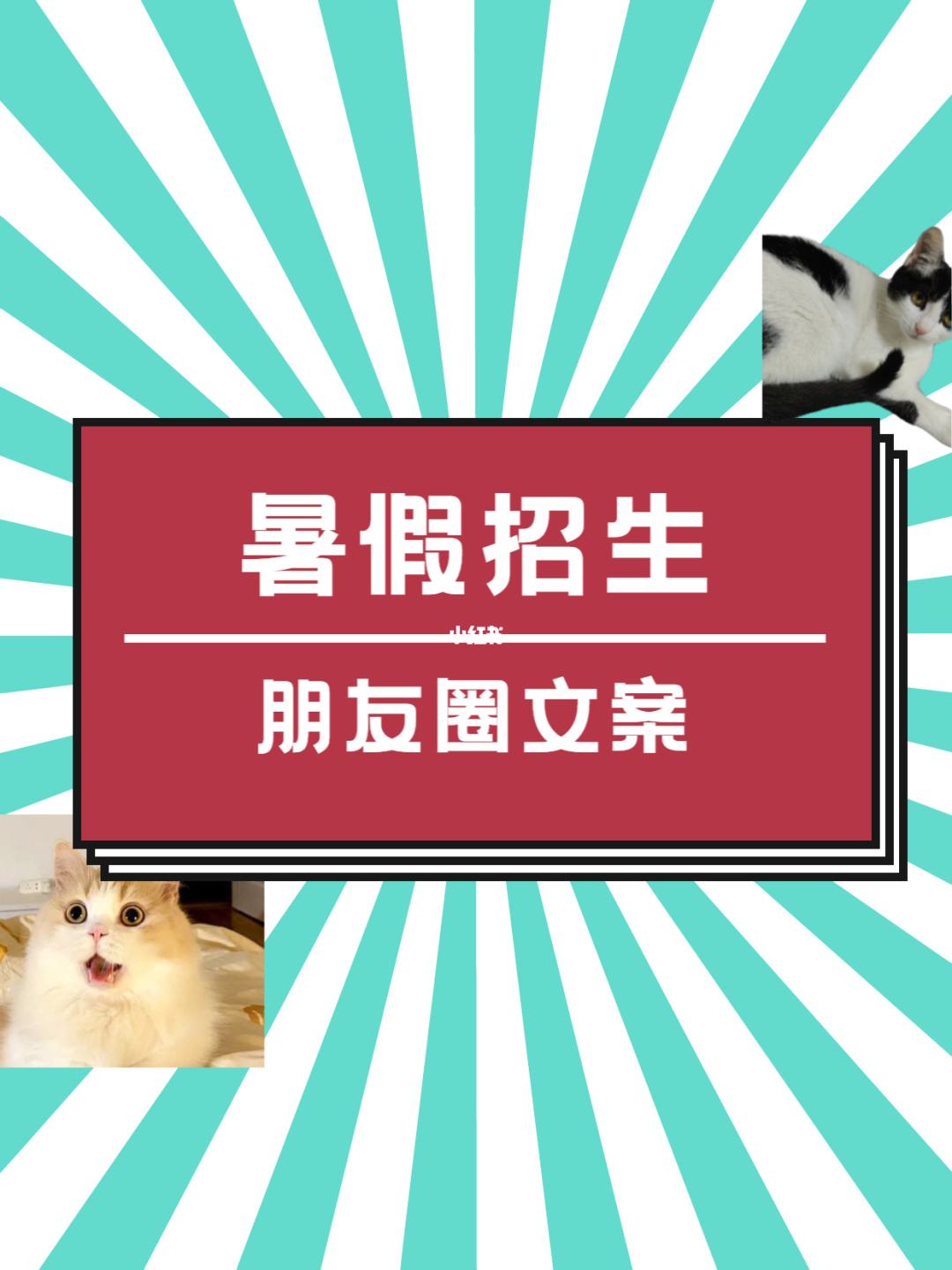 补课招生文案(课后辅导班招生文案)