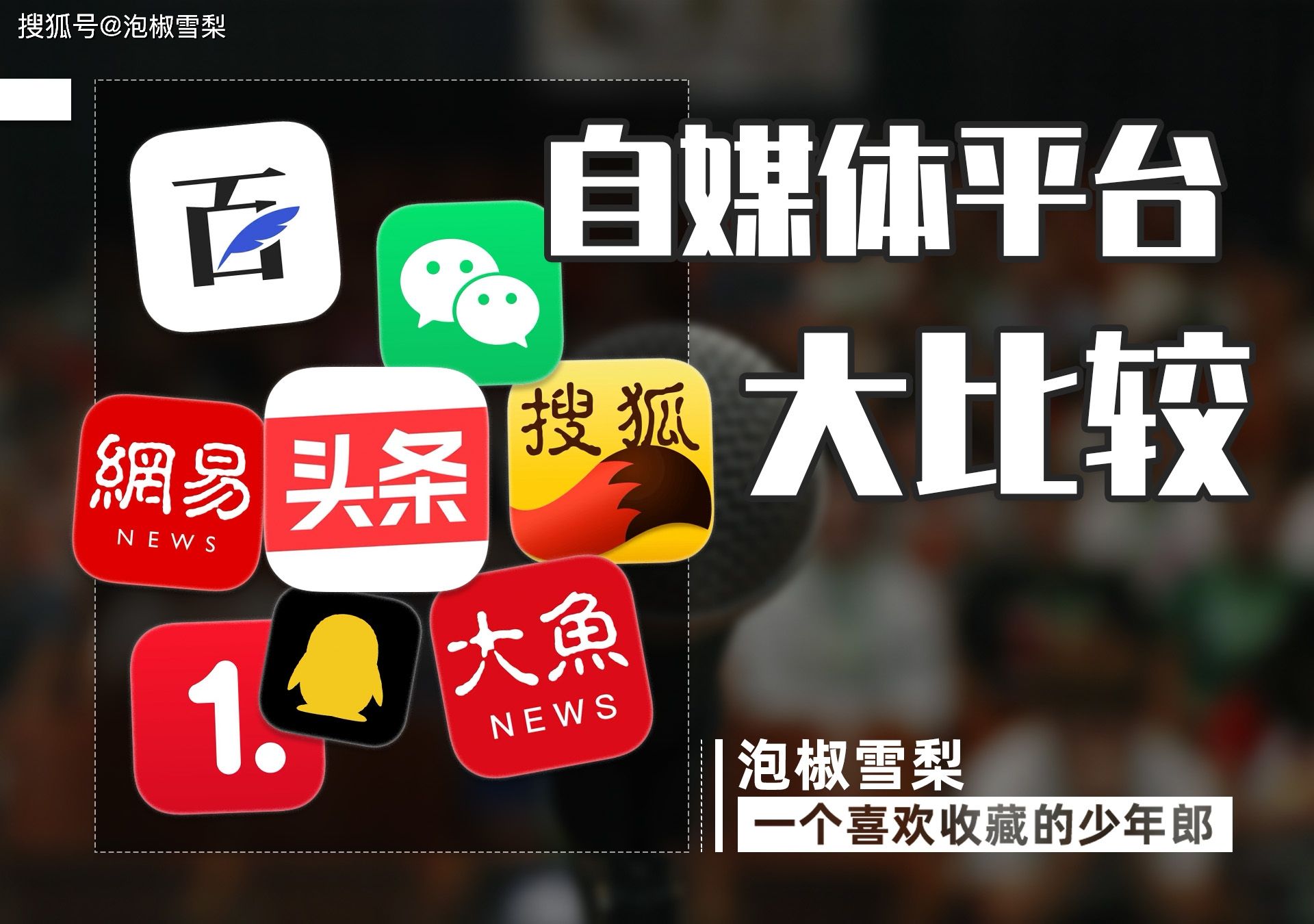 自媒体新手(自媒体新手做什么平台比较好)