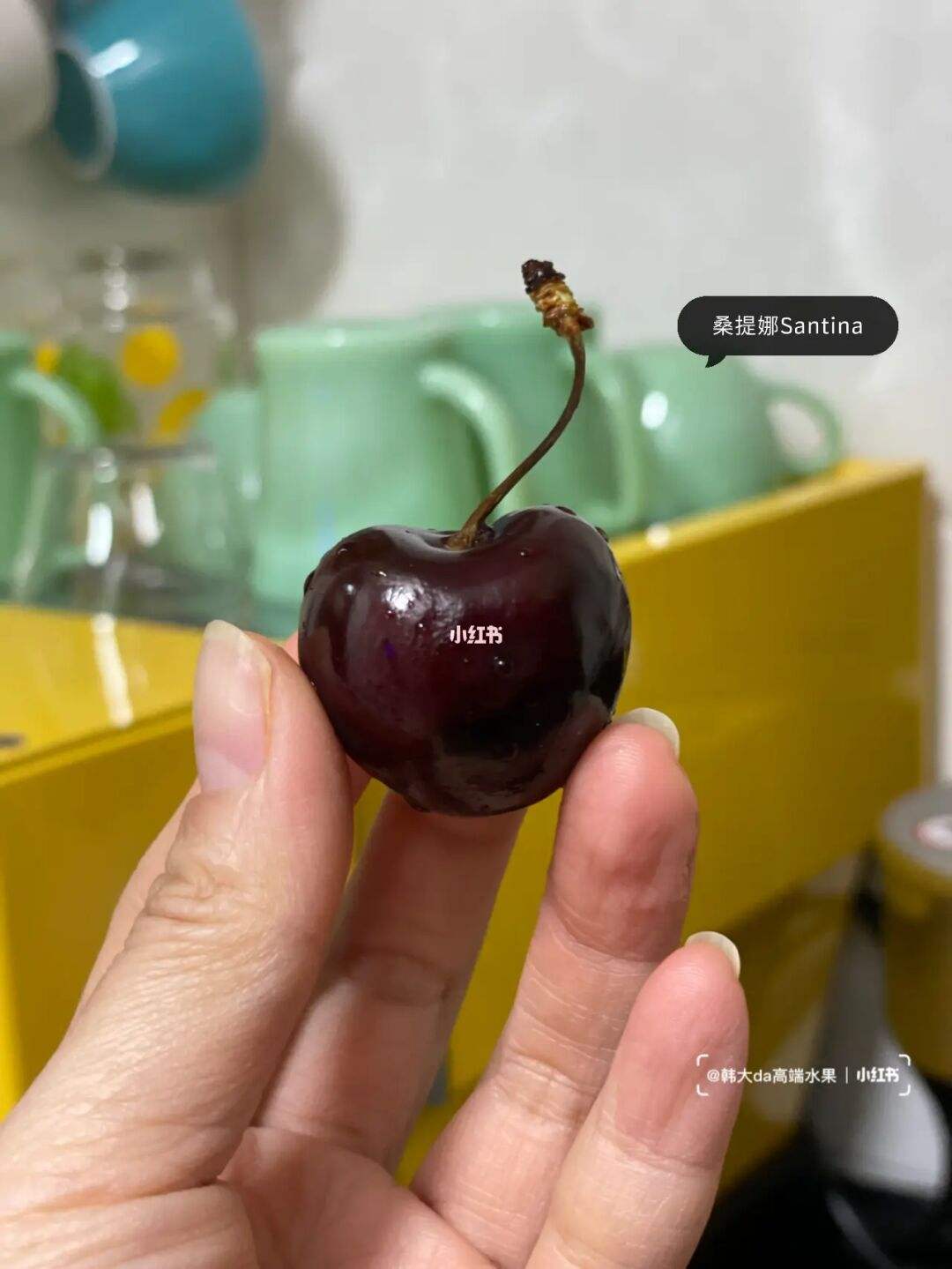 车厘子朋友圈文案(车厘子的朋友圈文案)