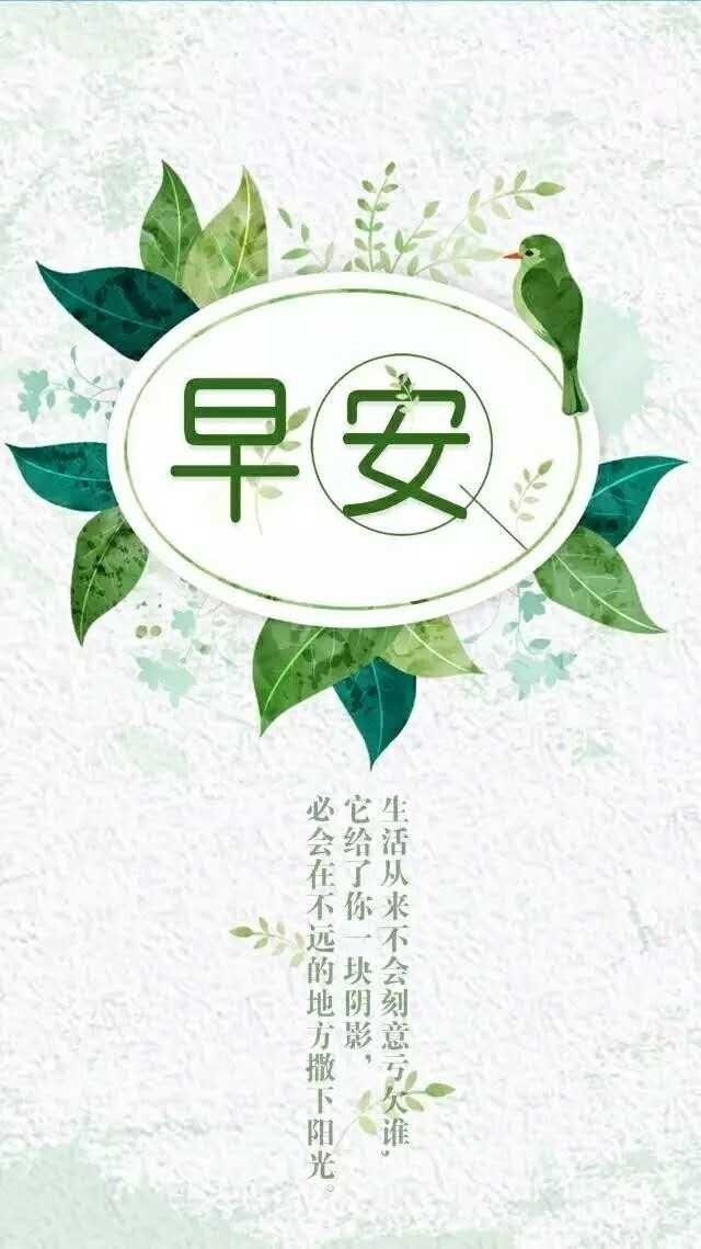 发清晨的朋友圈文案(清晨起来发朋友圈的文案)