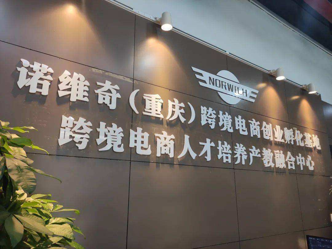 重庆电商产业园(重庆电商产业园免费入驻)