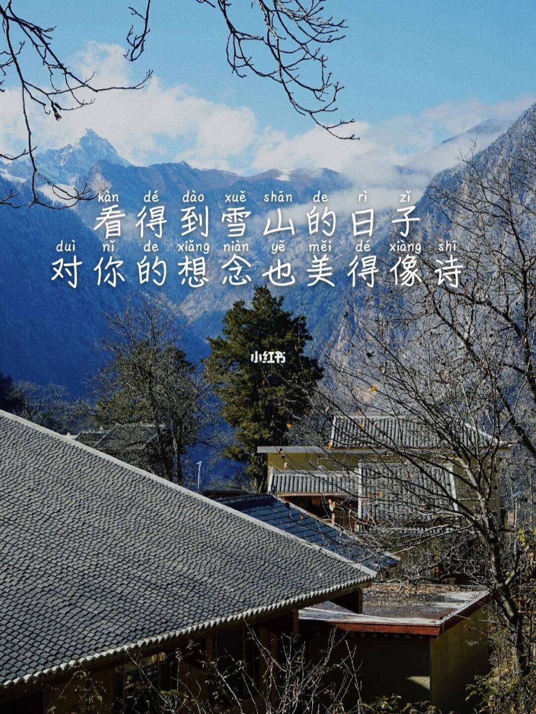 旅行朋友圈文案(家庭旅行朋友圈文案)