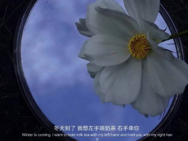 短信文案(黄色短信文案)