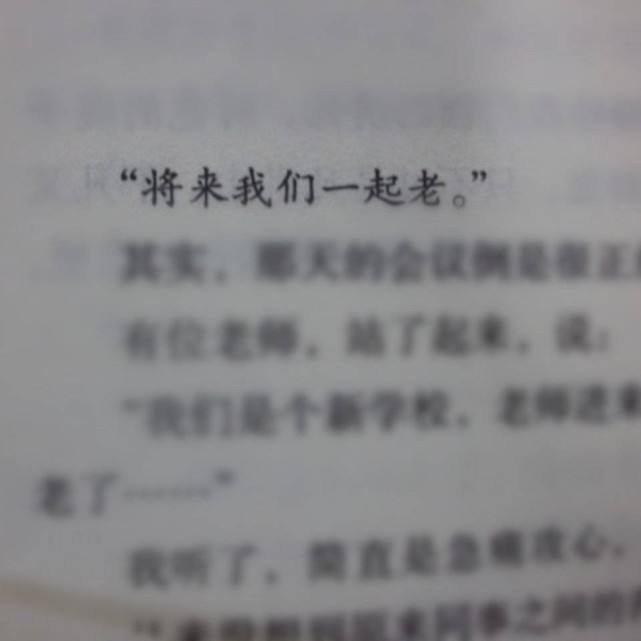 感情书语文案(情感书语热门文案)