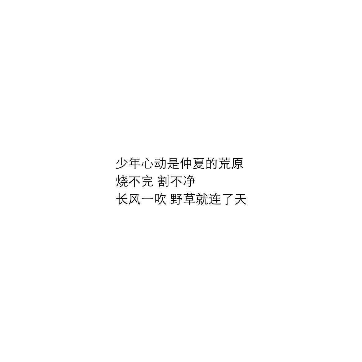 肯定一个女孩的情话文案的简单介绍