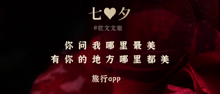 肯定一个女孩的情话文案的简单介绍