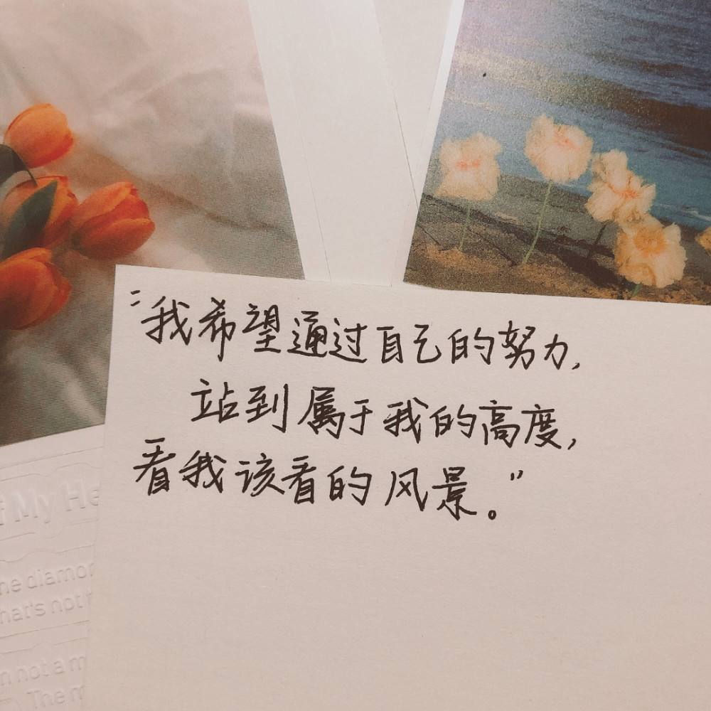 励志的诗句文案(有诗意的文案句子)