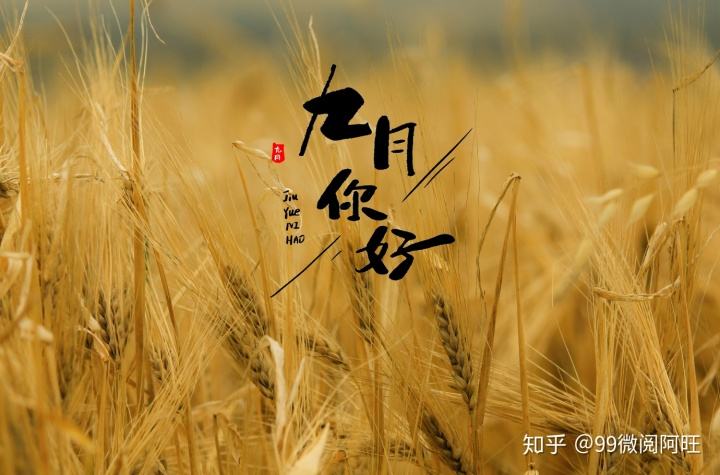 5月你好文案(5月你好文案收获爱情)
